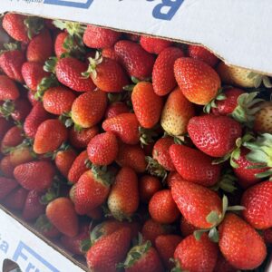 Caja de frutillas Segunda Agro Vallebal