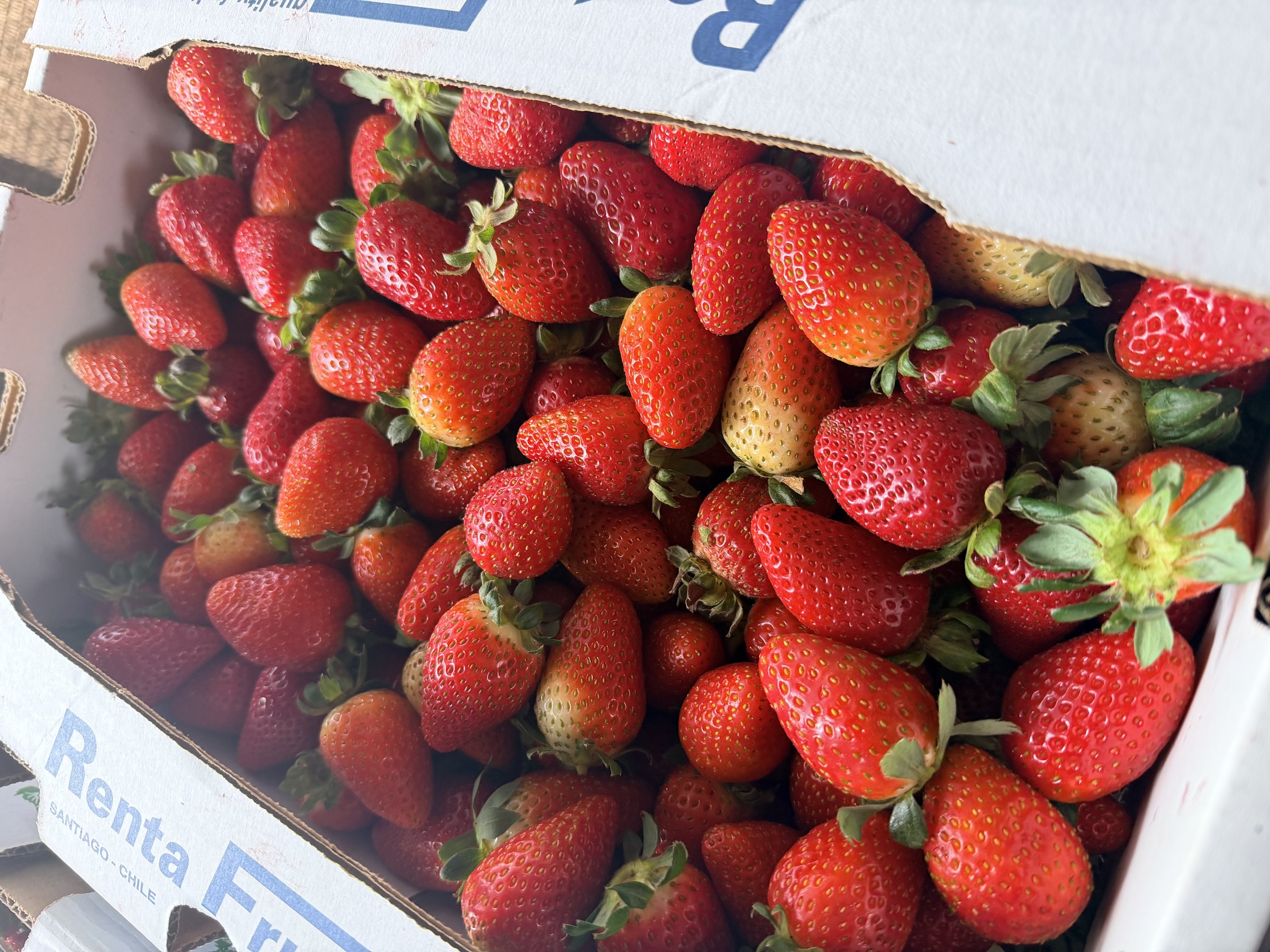Caja de frutillas Segunda Agro Vallebal
