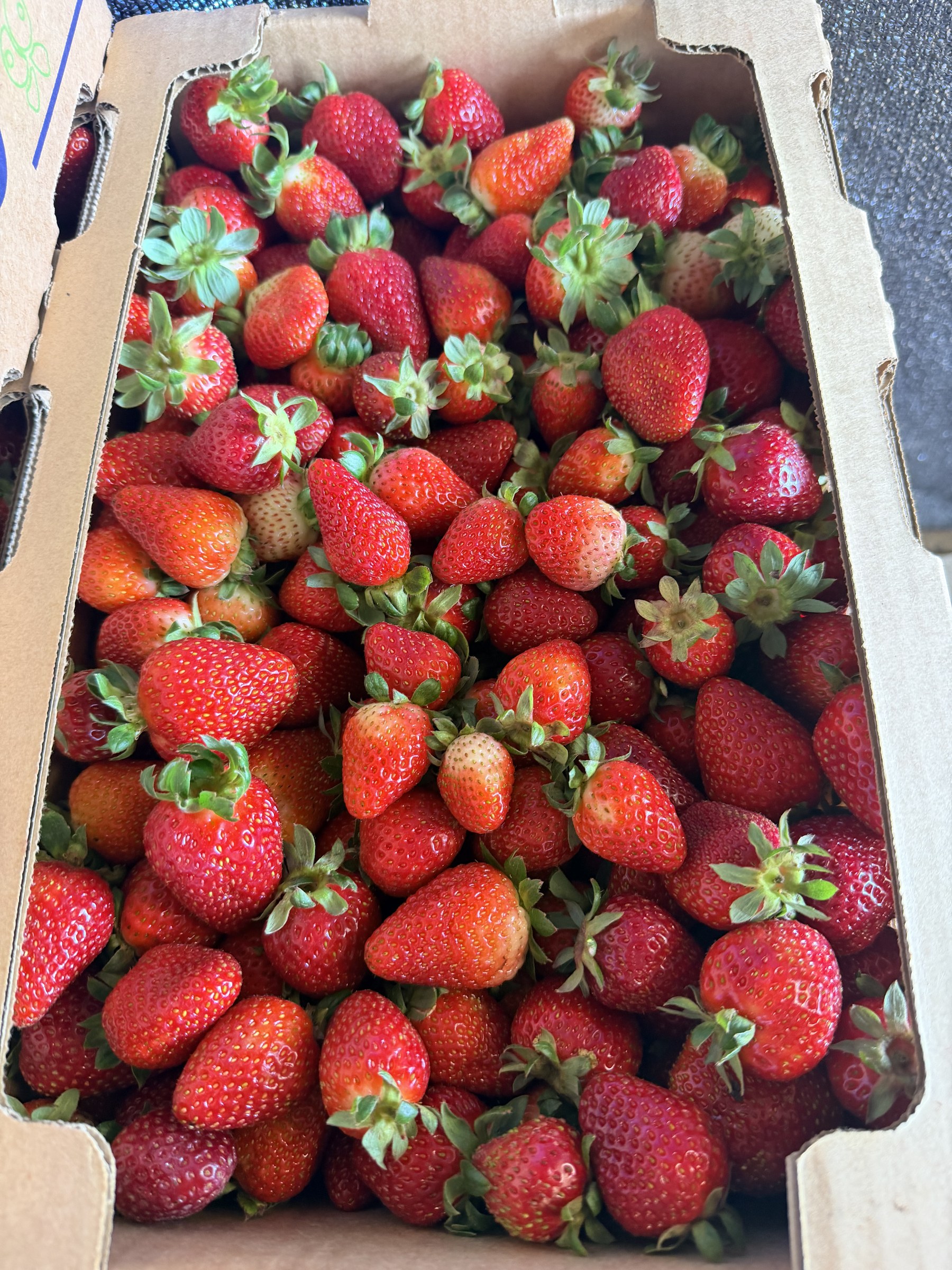 Caja de frutillas Segunda frescas