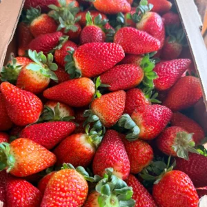 Frutilla Extra de Agro Vallebal en caja de 5 kg