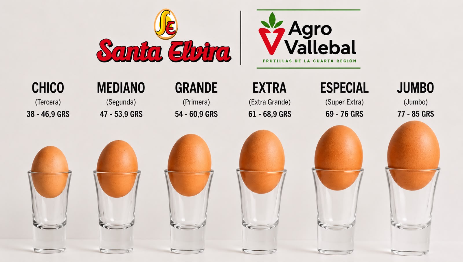 Huevos Santa Elvira – Calibre Especial (120 unidades)