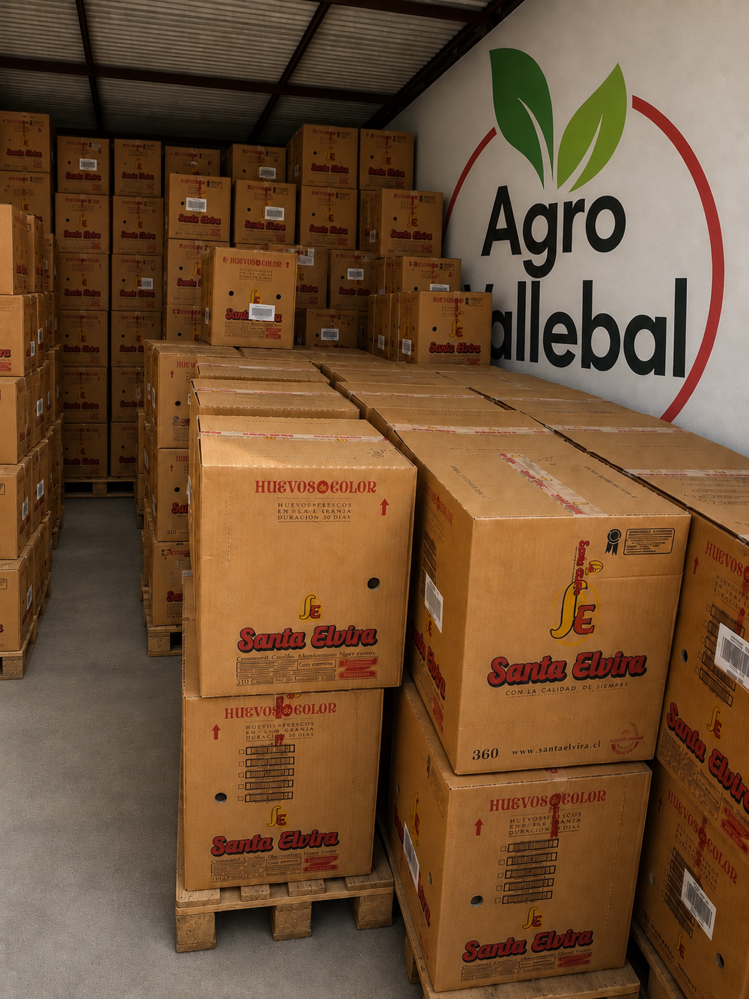 Cajas de huevos Santa Elvira en bodega Agro Vallebal